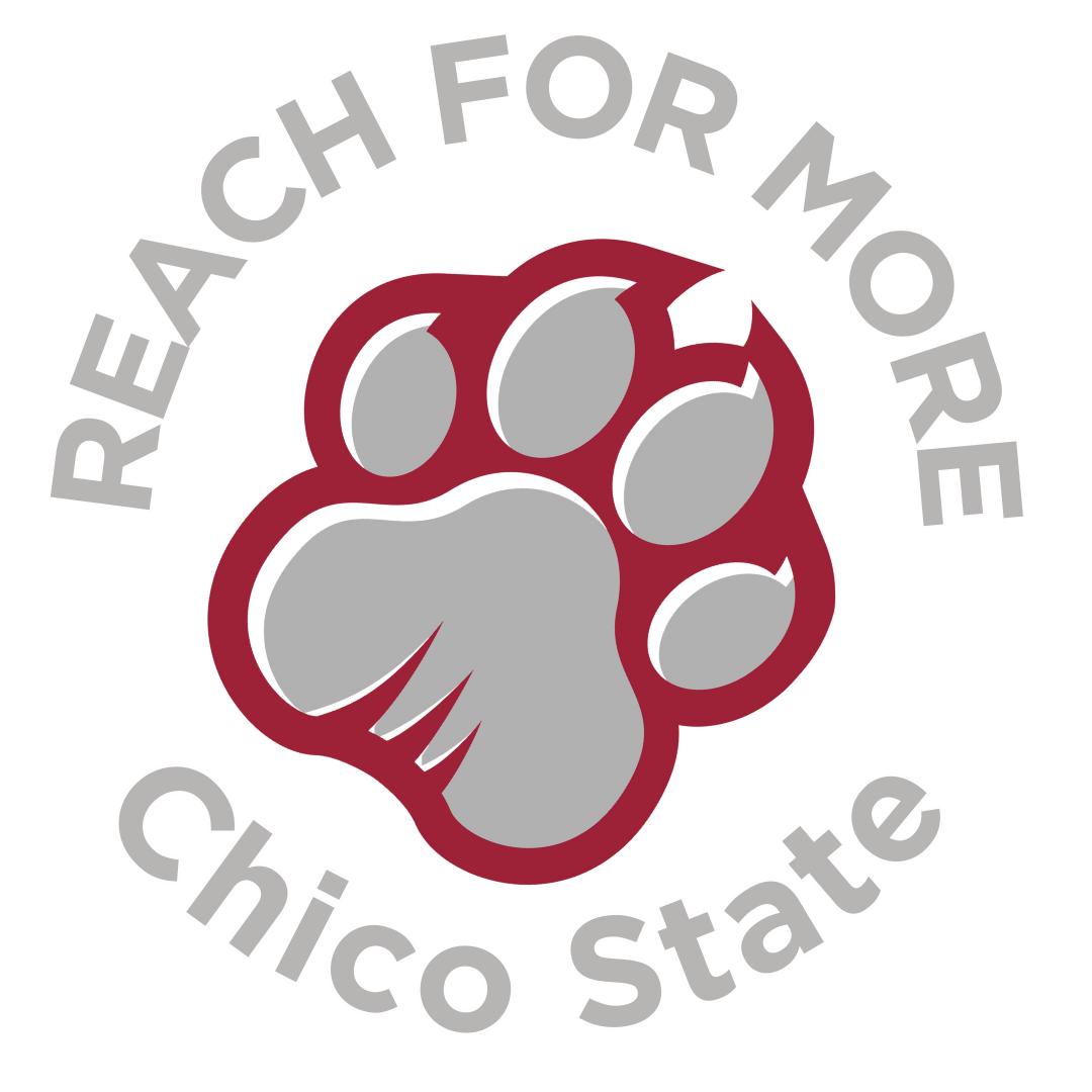 REACH program logo